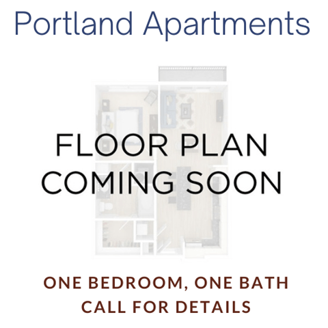 Floor plan for 1 bed, 1 bath, 565 sqft